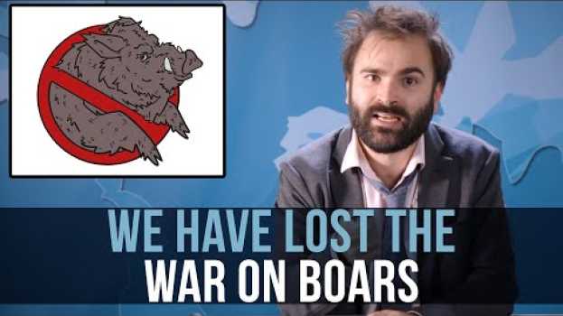 Video We Have Lost The War On Boars - SOME MORE NEWS en français