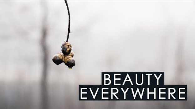 Video There's beauty everywhere in English