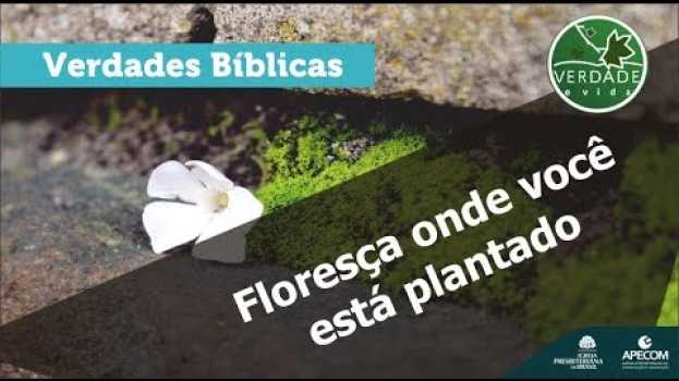 Video 0635 - Floresça onde você está plantado en français