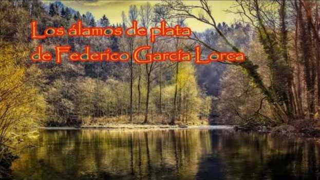 Video Los álamos de plata de G. Lorca. Declama Tintero creativo en Español