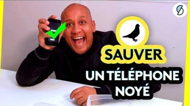 Video Téléphone tombé à l'eau, que faire ? (Oups) - #ONPDP em Portuguese