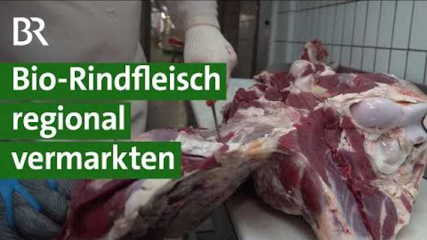 Видео Das lohnt sich - Bio-Rindfleisch regional vermarkten | Unser Land | BR на русском