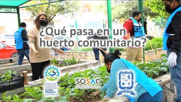 Video ¿Qué pasa en un huerto comunitario? en Español