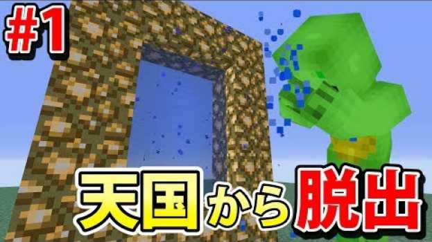 Video  in English