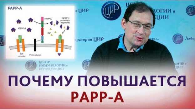 Video Повышен PAPP-A. Что значит, если повышен ПАПП-А? Отвечает Гузов И.И. na Polish