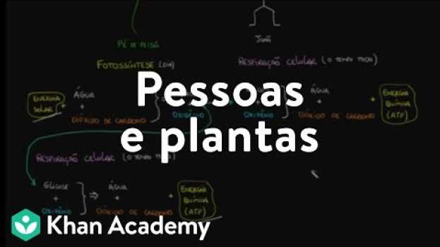 Video Pessoas e plantas en Español