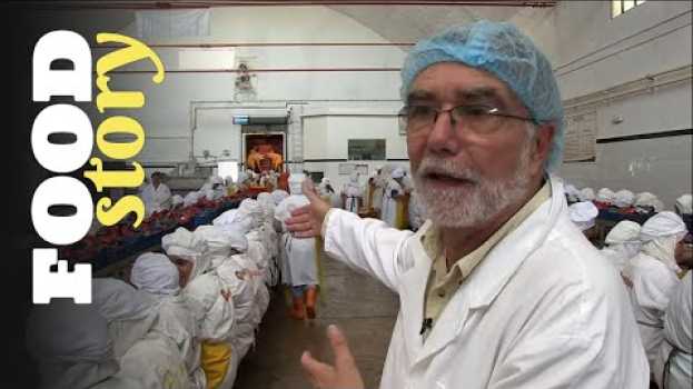 Видео Pour produire moins cher, il installe son usine de sardines au Maroc на русском