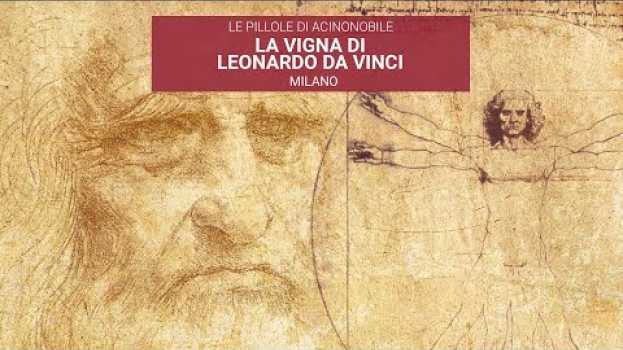Video Che vitigno coltivava Leonardo da Vinci 500 anni fa a Milano nel retro della Casa degli Atellani? en français