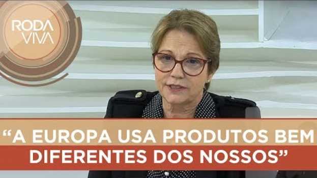 Video Ministra Tereza Cristina fala sobre agrotóxicos in English