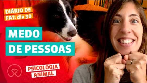 Video Reabilitação de cão com medo de pessoas (dia 30) PSICOLOGIA ANIMAL na Polish