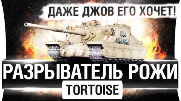 Video РАЗРЫВАТЕЛЬ РОЖИ - TORTOISE - Даже ДЖОВ его хочет! na Polish