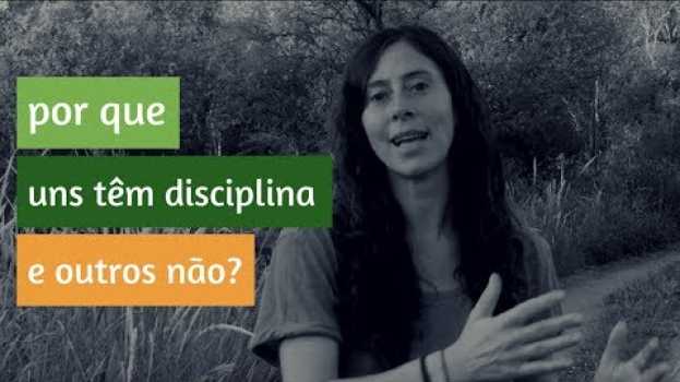 Video Por que algumas pessoas conseguem ter disciplina e outras não? - EP# 169 en Español