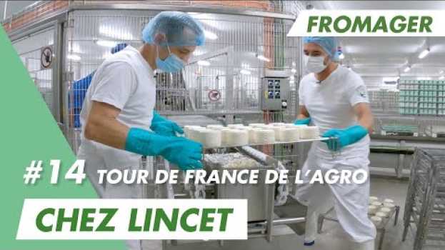 Video Viens fabriquer le fameux Chaource avec Ludovic, fromager chez Lincet ! su italiano