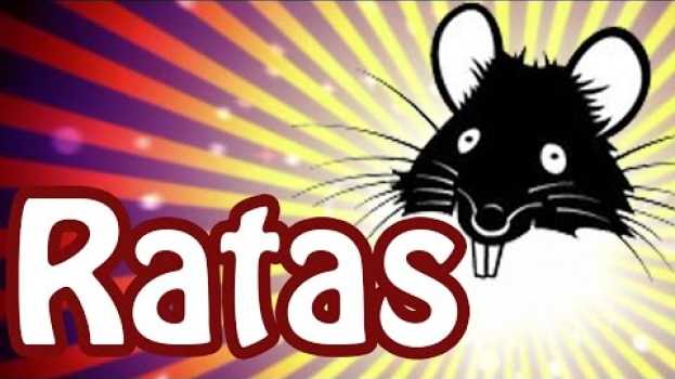 Video Ratas - Sabías que... em Portuguese