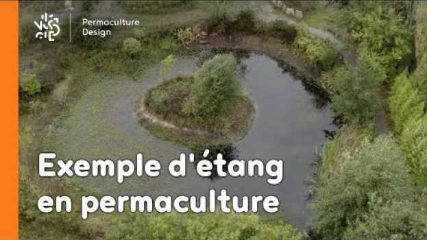 Video Exemple d’étang dans un jardin en permaculture in English