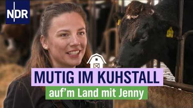 Video Das muss Liebe sein – Jenny hilft ihrem Mann beim Umstallen | Folge 3 |  NDR auf'm Land en français