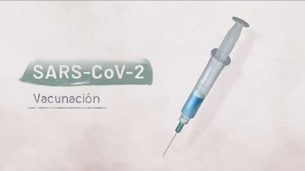 Video La biología del SARS-CoV-2: Vacunación | Video HHMI BioInteractive in English