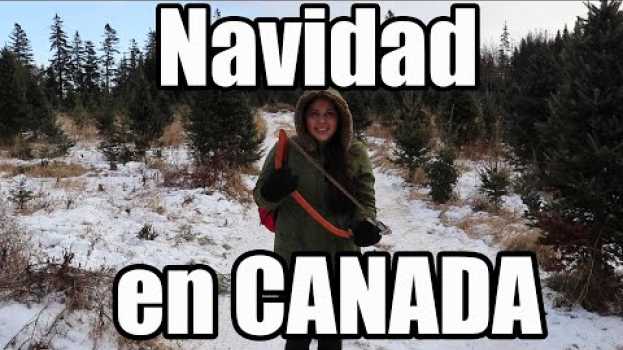 Video Esto sucede cada año en cada navidad en Canada en Español