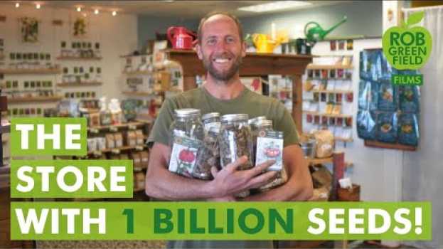 Video This Tiny Little Store Has 1 Billion Seeds Inside! em Portuguese