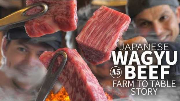 Video Japanese Wagyu Beef Story (from Farm to Table) ★ ONLY in JAPAN en français