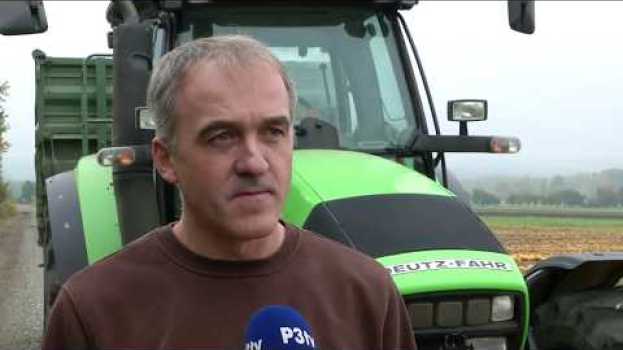 Video Unsere Landwirtschaft in NÖ - Stark in der Ölproduktion en français