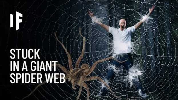 Video What If You Got Caught in a Giant Spider Web? em Portuguese
