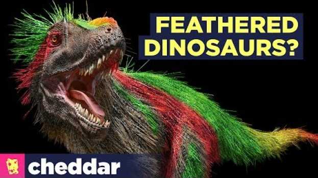 Video Dinosaurs Were Probably Feathered, Bright...and Beautiful - Cheddar Explores en Español