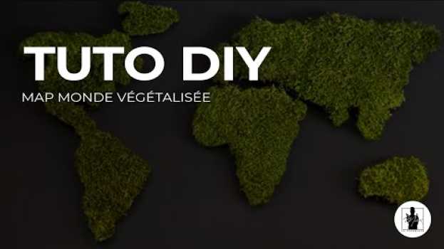 Video TUTO DIY - Carte du Monde Végétalisée ? en Español