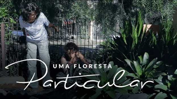 Video Jardim das Ideias #39: Uma floresta particular su italiano