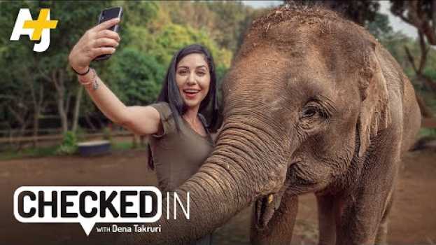 Видео Why There Are No Elephant Sanctuaries in Thailand на русском