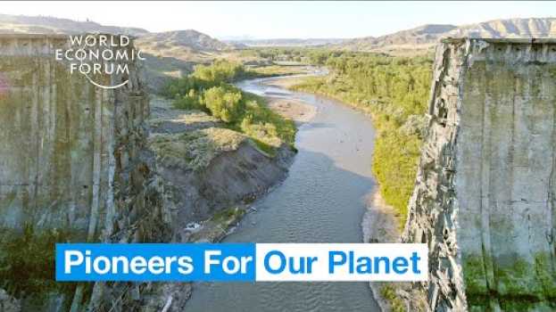 Video This organisation is removing dams and restoring rivers | Pioneers For Our Planet su italiano
