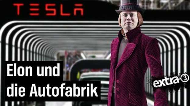 Video Tesla in Brandenburg: Elon Musk schert sich nicht um Gesetze | extra 3 | NDR na Polish