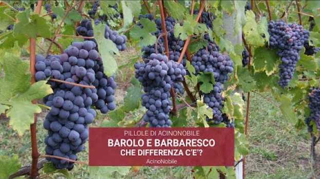 Video Che Differenza c'è tra Barolo e Barbaresco? su italiano