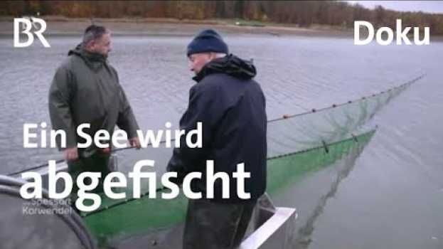Видео Der Ellertshäuser Stausee wird abgefischt und saniert | Zwischen Spessart und Karwendel | Doku | BR на русском