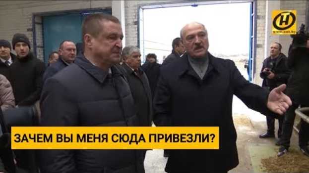 Video Лукашенко уволил губернатора Могилёвской области... Что он увидел на ферме в Шкловском районе? su italiano