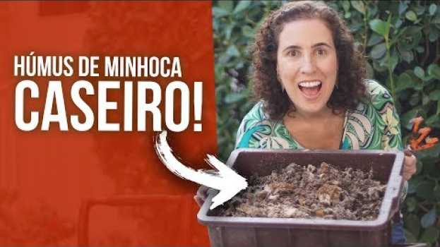 Video Como Fazer seu Próprio Húmus de Minhoca | Nô Figueiredo en Español