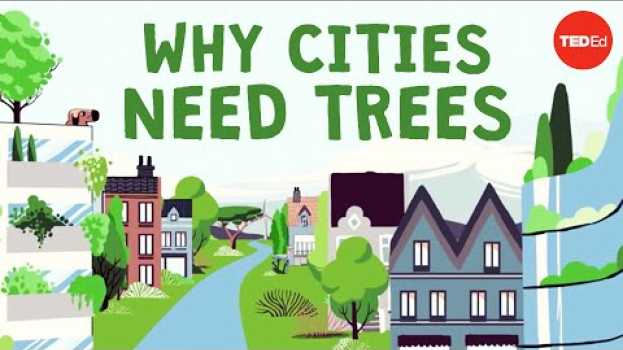 Видео What happens if you cut down all of a city's trees? - Stefan Al на русском
