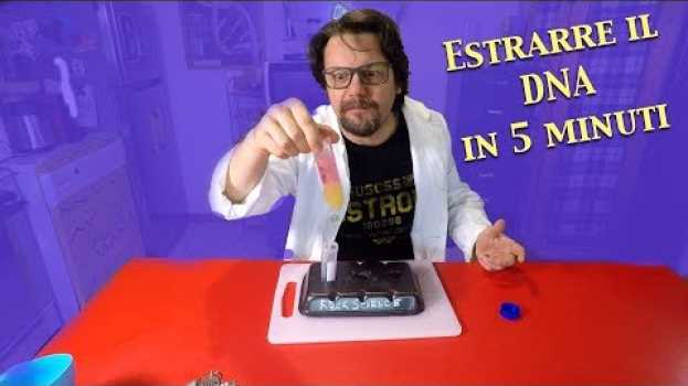 Video Come si estrae il DNA da qualunque organismo in 5 minuti. E perchè il DNA somiglia a muco? em Portuguese