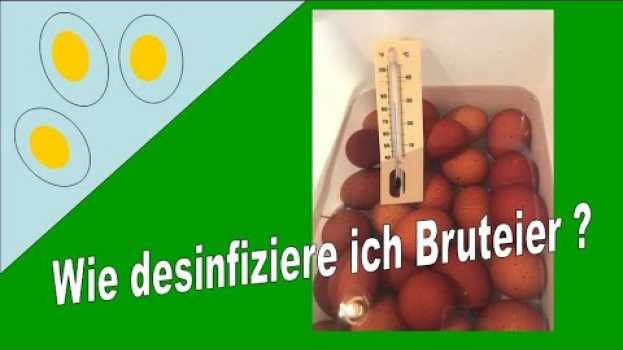Video Wie desinfiziere ich Bruteier - How to do disinfection of hatching eggs en français