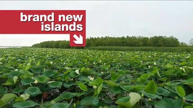 Video The only bit of Louisiana's coast that isn't sinking na Polish