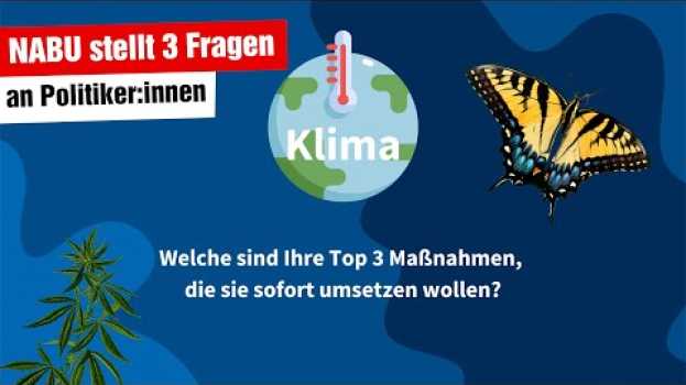 Video NABU fragt die linke MdB Anke Domscheit-Berg zu Klimazielen, Artenvielfalt und Renaturierung in English