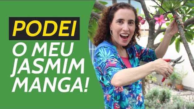 Video PODEI MEU JASMIM MANGA! VEJA COMO FICOU! | Nô Figueiredo in Deutsch