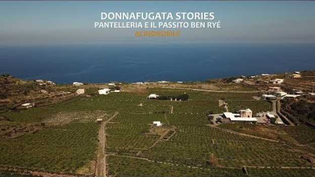 Video Donnafugata | Vino Passito di Pantelleria | Ben Ryé in English