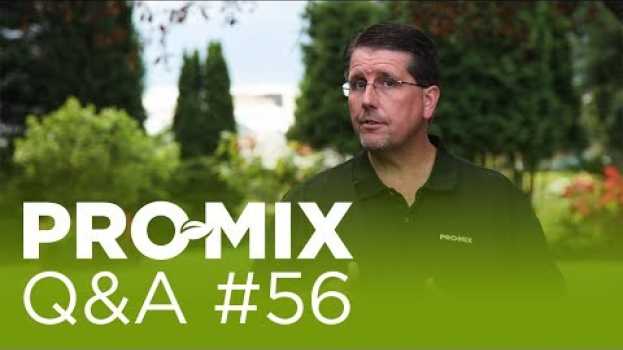 Video Why are there 2 lime sources in many PRO-MIX products? en français