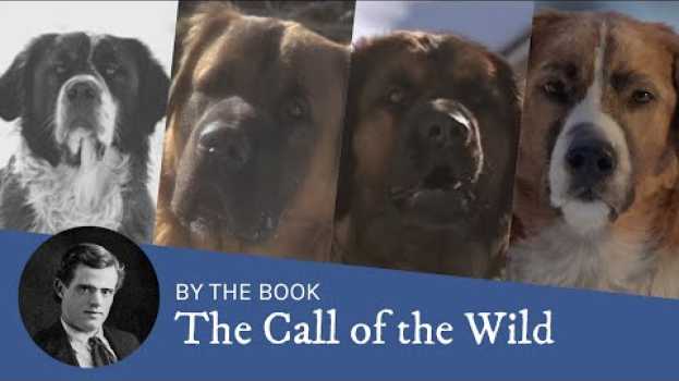 Video Book vs. Movie: The Call of the Wild (1935, 1976, 1996, 2020) in English