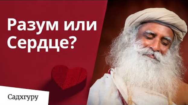 Видео Разум или сердце — что слушать? на русском