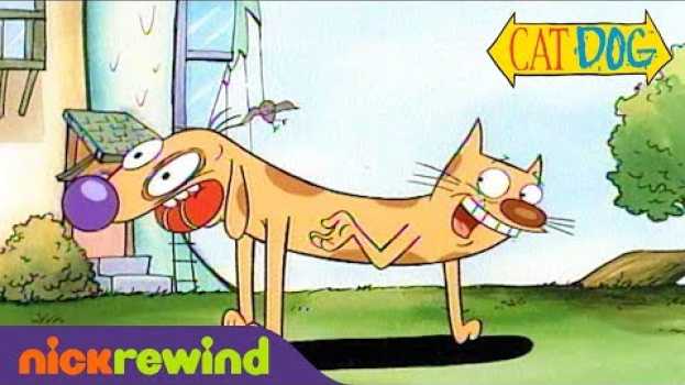 Video CatDog’s First & Last Scenes | NickRewind in English